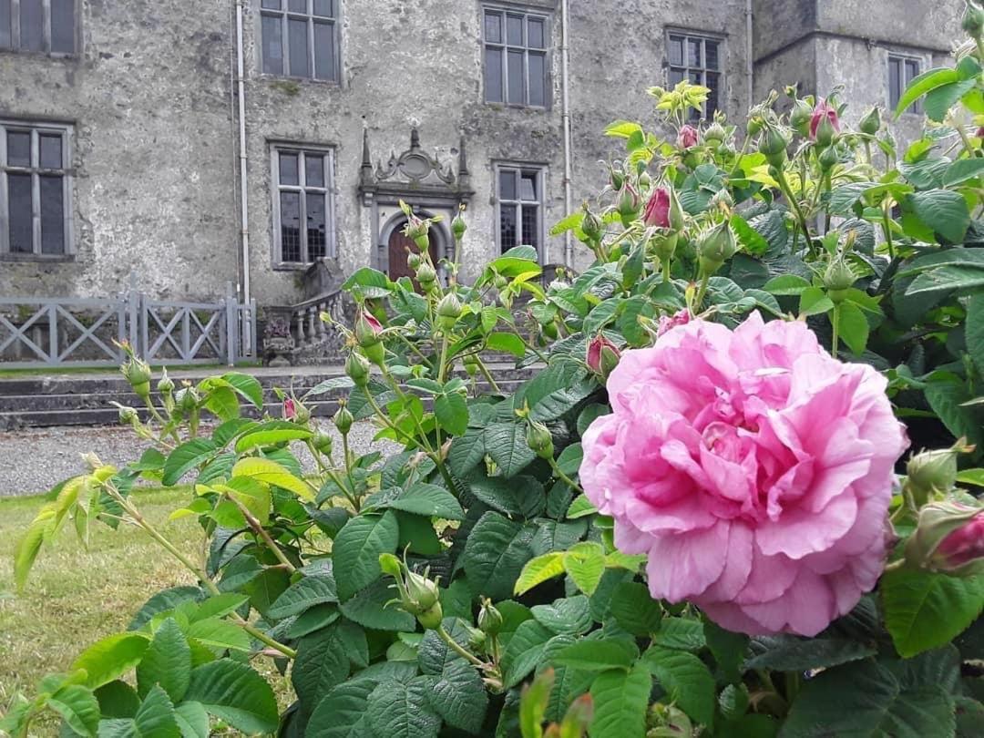 Oak Lodge Portumna Exterior photo